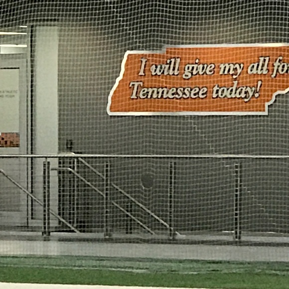 Meet your Posher, Dominic - Picture 3 of 8